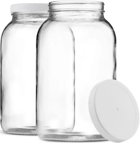 Paksh Novelty 1-Gallon Glass Jar