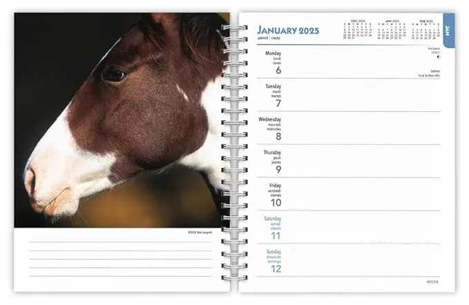 Horse Lovers | 2025 6 x 7.75 Inch Spiral-Bound Wire-O Weekly Engagement Planner Calendar | New Full-Color Image Every Week | BrownTrout | Animals Equestrian