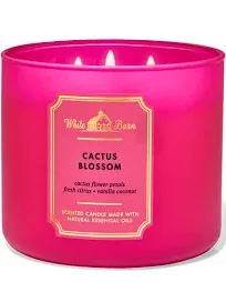 NEW White Barn Bath &amp; Body Works CACTUS BLOSSOM  3 Wick Candle 14.5 oz