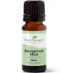 Bergamot Mint Essential Oil