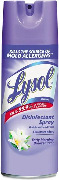 Lysol Disinfectant Spray