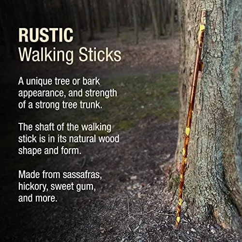 55 In. Hiking Walking Stick Strong Durable Hawthorn Wood  Handcrafted in the USA