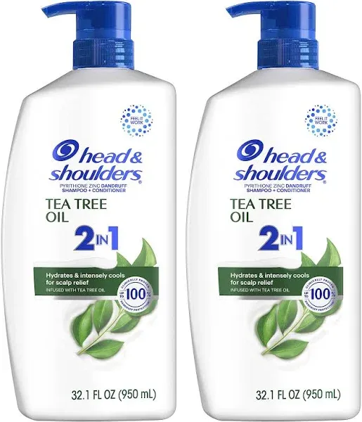 Head & Shoulders 2 in 1 Dandruff Shampoo and Conditioner