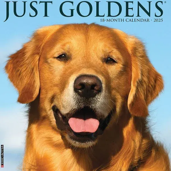 Willow Creek Press Goldens Wall Calendar 2025