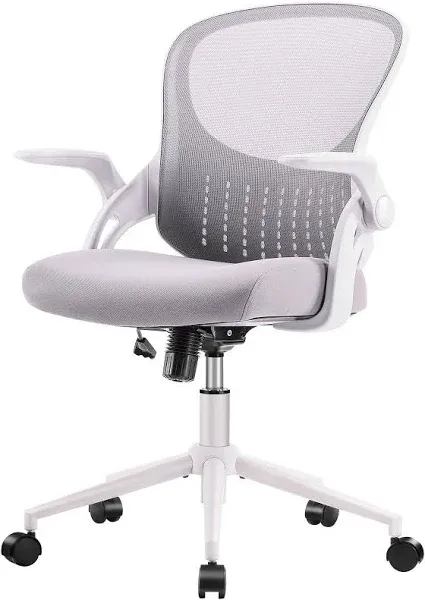 Ergonomic Mesh Computer Chair