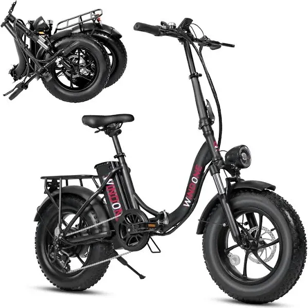 S16 Ebike 22MPH 50 Miles Range (PAS) 750W Peak Motor 48V/13Ah 16" x 4.0 Fat Tire