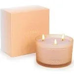 Luxury Scented Candles | Sandalwood Bergamot Jasmine Fragrance | Large 3 Wick...