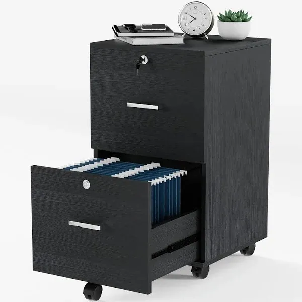 VINGLI 2-Drawer Small Rolling File Cabinet with Lock, Wood Filing Cabinet for Hanging Letter Size Filings with Tabs, Mobile Under Desk File Cabinet for Home Office, Classic Black, 27.2" H