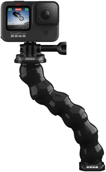 GoPro Gooseneck