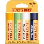 Burt's Bees Moisturizing Lip Balm (0.6 oz)