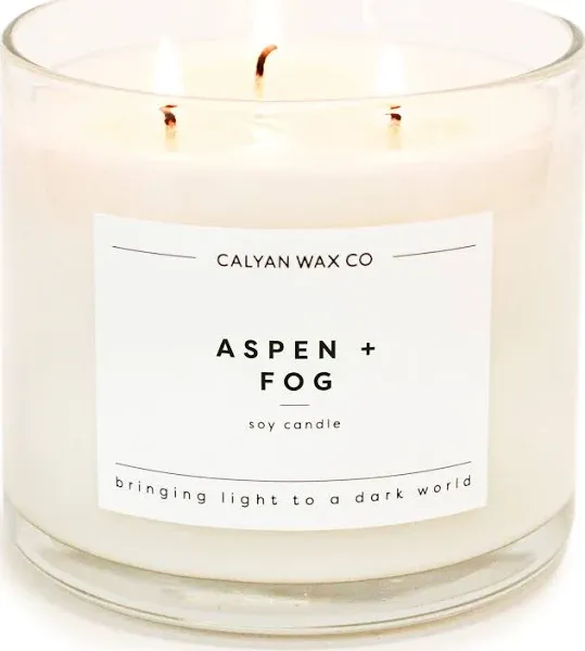 Calyan Wax Scented Candle, Aspen & Fog, 3 Wick Candle for The Home Scented with Pine & Cedarwood, 14.9 oz Soy Wax Candle with 43 Hour Burn Time, Non Toxic Large Candle in Glass Jar, Candle Gift