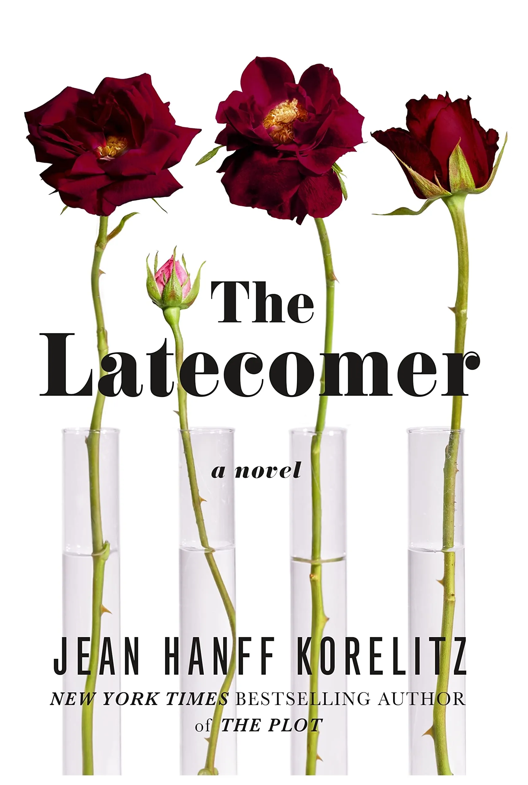 The Latecomer: A Novel [Book]