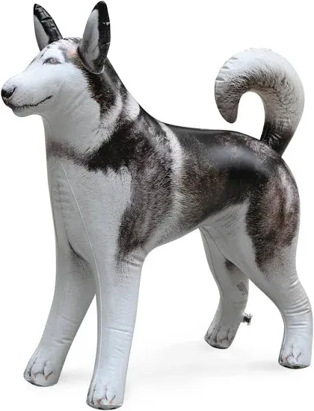 Jet Creations 32" Long Inflatable Husky Dog Black White Blow-Up Animal Figure, Puppy Pet Decor Play Livestock Theme Party Pool Birthday, Halloween, Kids, VBS Photo Prop, Gift for Boys Girls Kids 1pc