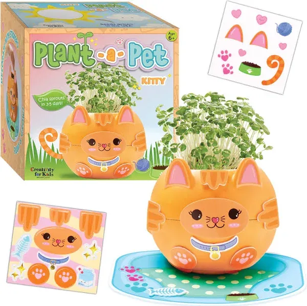 Creativity for Kids Plant-a-Pet Kitty Craft Kit