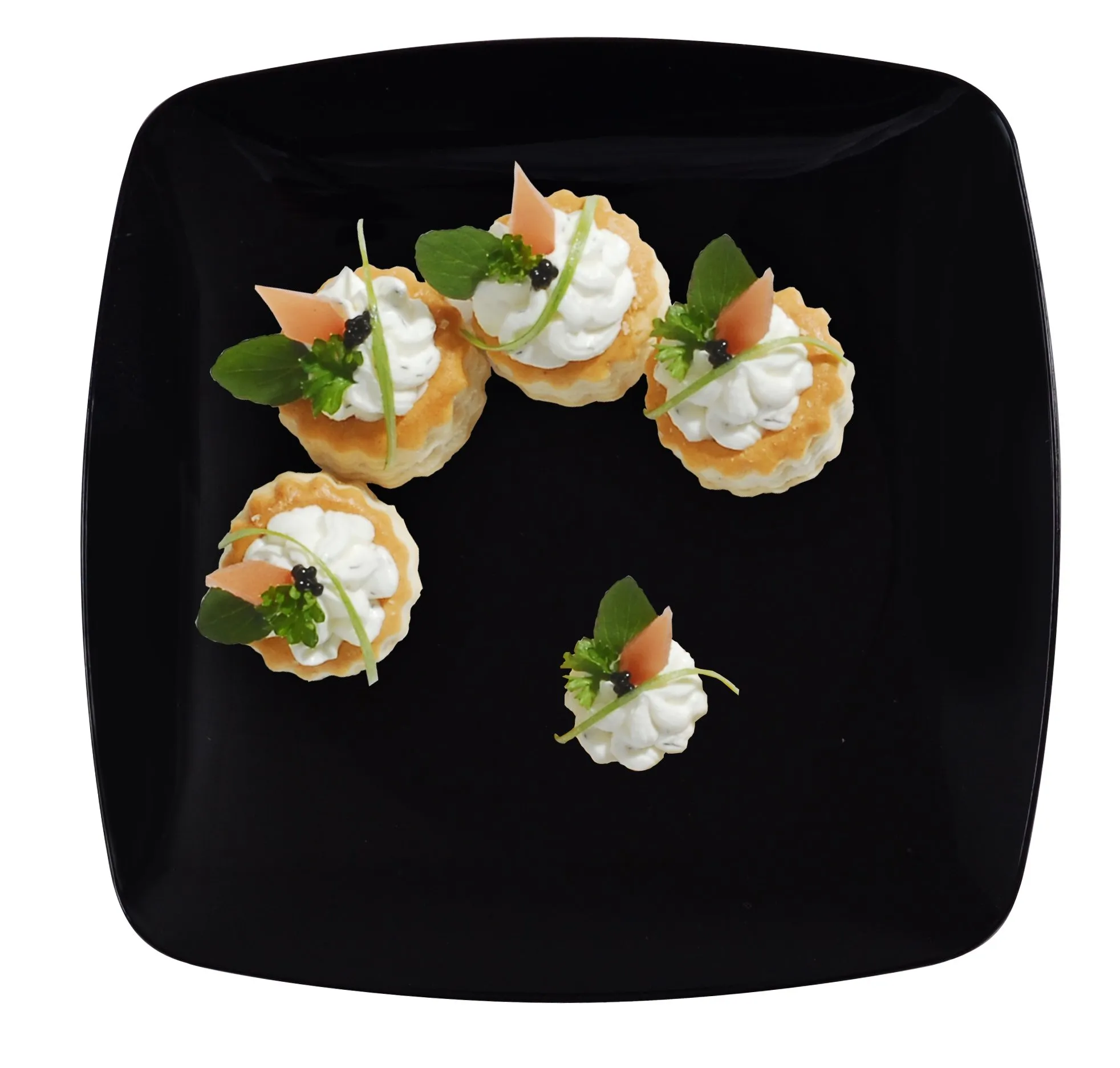 Fineline Settings 1510-BK, 10-Inch Renaissance Black Plastic Dinner Plates, 120/CS