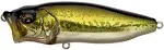 Megabass PopMax (Megabass Sexy Shad)