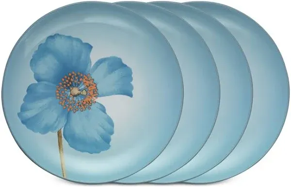 Noritake Colorwave Floral Accent Plates