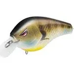 Spro Fat Papa Squarebill 70 Crankbait Bluegill | SFPSB70BLG