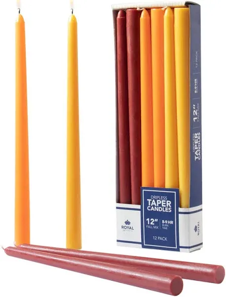 Royal Imports Unscented Taper Candles