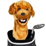 Daphne's Golden Retriever Headcover