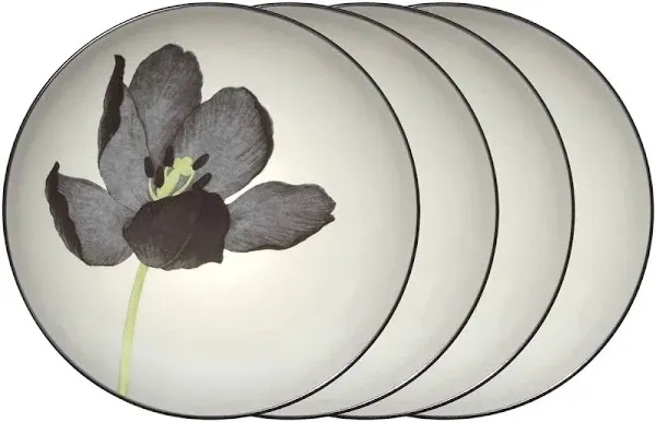 Noritake Colorwave Floral Accent Plates