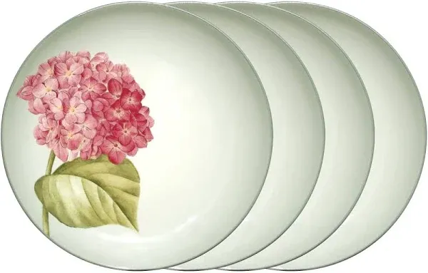 Noritake Colorwave Floral Accent Plates