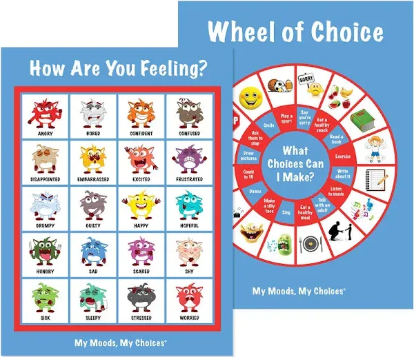 How Are You Feeling? and Wheel of Choice Posters