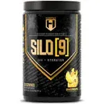 HOSSTILE SILO[9] Essential Amino Acids, EAA & BCAA Powder, Electrolyte Hydration Support, Enhance Muscle Recovery, Build Lean Muscle, Pre or Post Workout Drink, Blueberry Lemonade, 30 Servings