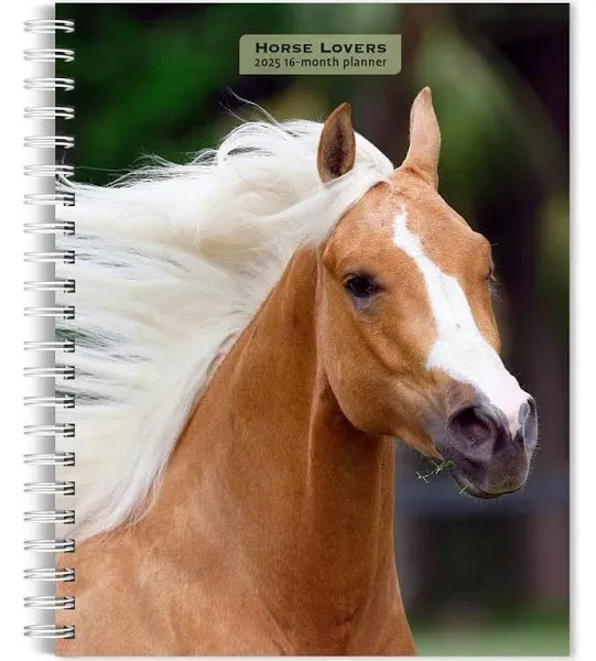 2025 Diary Horses & Horse Riding Journal - Weekly Planner & Weekly Organiser For Horse Lovers - A5 Size: Beautifully Designed & Spacious - A Wonderful Gift Someone Special Week to View