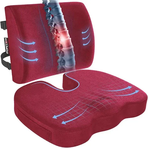 FORTEM Chair Cushion Seat Cushion for Office Lumbar Support for Chair