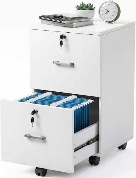 2 Drawer File Cabinet with Lock