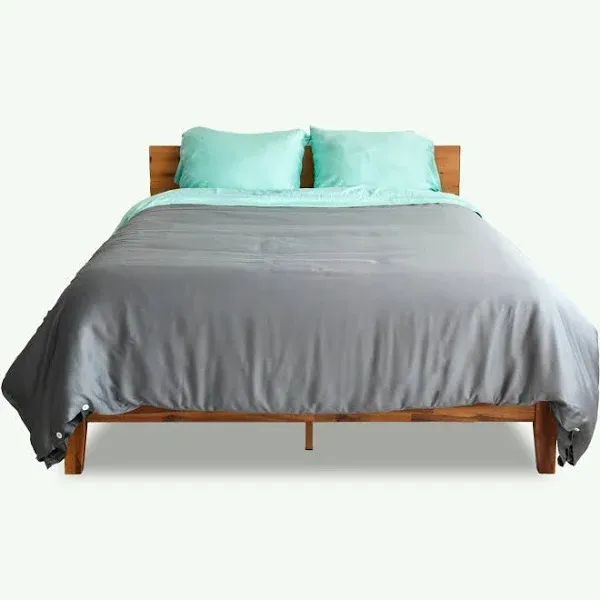 Gray Eucalyptus Lyocell comforter - Queen