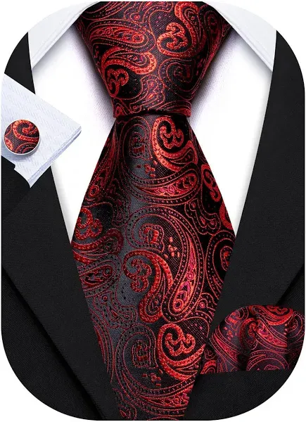 Barry Wang Men's Paisley Silk Necktie Set