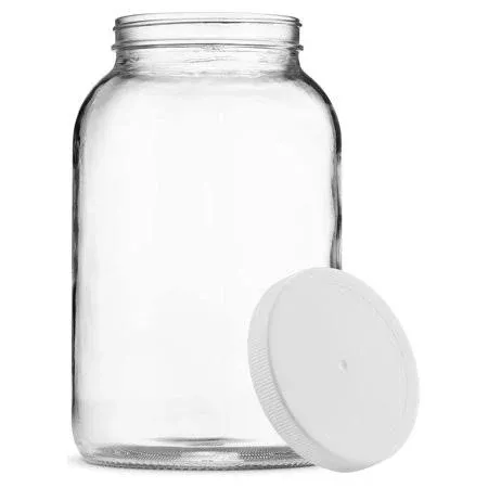 Paksh Novelty 1-Gallon Glass Jar