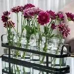 6pc Glass Flower Vase with Metal Holder, Best Clear, Black Stainless Steel 