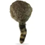 Coonskin Davy Crockett Hat - 100% Real Rabbit Fur Hat - Rabbit Fur Crown - Ra...