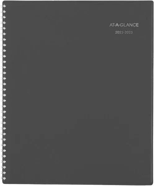 AT-A-GLANCE DayMinder Academic Monthly Planner