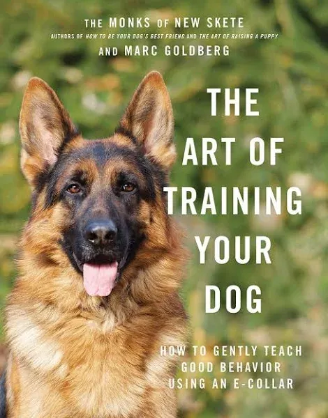 The Art of Training Your Dog