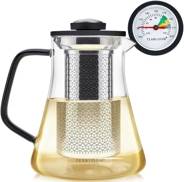 2in1 Tea Kettle And Tea Steeper Glass Teapot With Thermometer And Stainless Stee