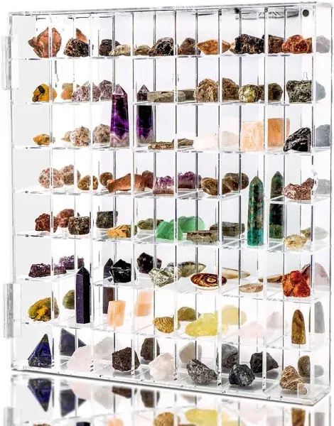 gjkldcvb Adjustable Seashell Display Case Box Large Rock Fossil Arrowhead Display Case Crystal Organizer