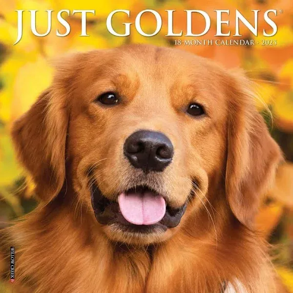 Just Goldens 2025 7&#034; x 7&#034; Mini Wall Calendar