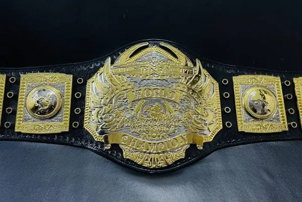 TNA World Heavyweight Championship Belt