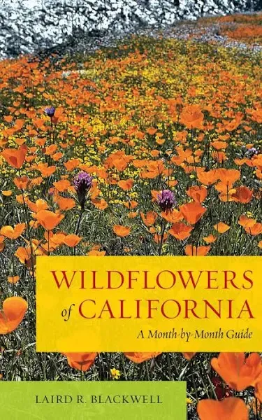 Wildflowers of California : A Month-By-Month Guide by Laird Blackwell (2012,...