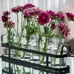 6pc Glass Flower Vase with Metal Holder Best Vases for Flowers Set for Home Decor Wedding Decorations Table Decor Kitchen Bathroom Be