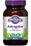 Oregon&#039;s Wild Harvest Astragalus (1x90VCAP)