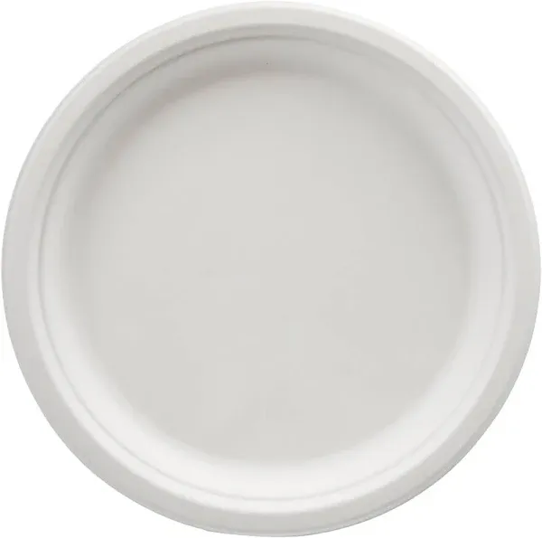 Amazon Basics Compostable Plates