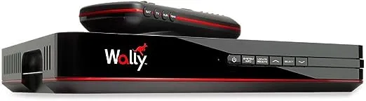 Wally HD Satellite Receiver with remote