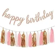 Aonor Rose Gold Birthday Party Decorations - Glittery Rose Gold Happy Birthday Banner and Tissue Paper Tassels Garland for Birthday Decorations