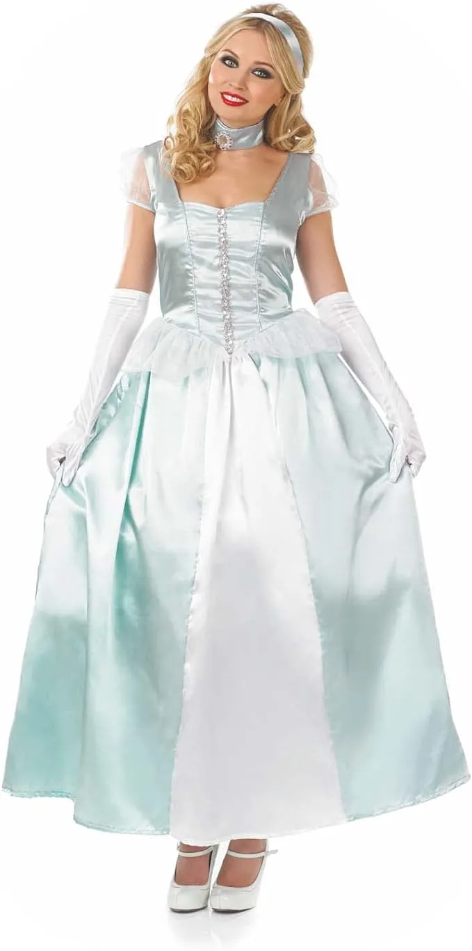 Fun Shack Blue Princess Dress Adult Halloween Women Costume Large, Women's