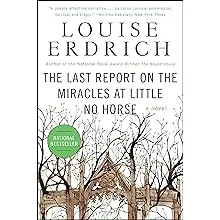 The Last Report on the Miracles at Little No Horse: A Novel